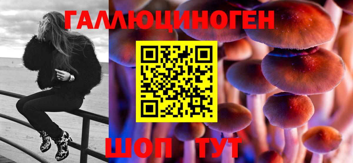 Псилоцибиновые грибы мицелий  Галлюциногенные грибы прущие грибы  как найти закладки  Муравленко  Вход с VPN 
